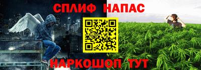 дмт Пенза