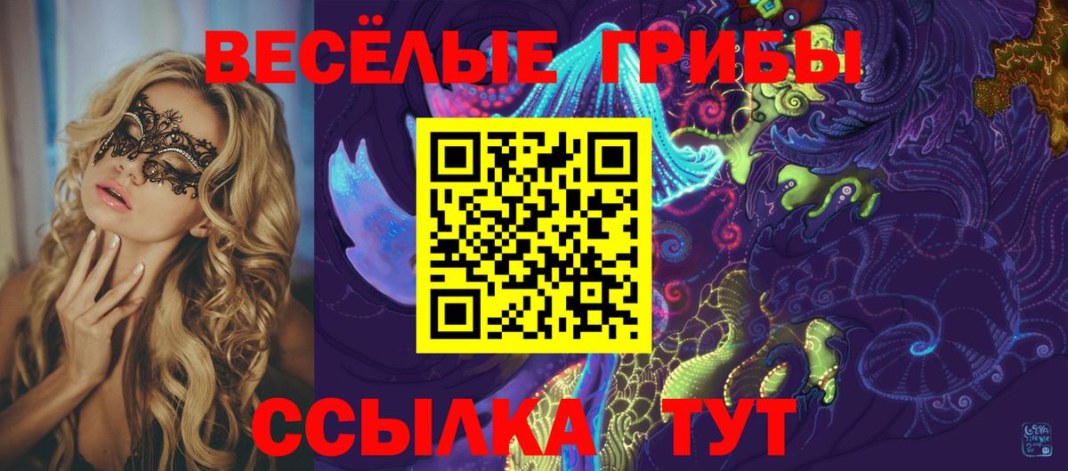 Северобайкальск  Галлюциногенные грибы MAGIC MUSHROOMS  наркота  Галлюциногенные грибы GOLDEN TEACHER  Вход с VPN 
