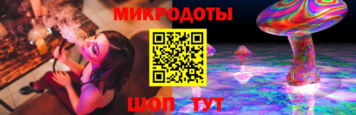 Псилоцибиновые грибы мухоморы Северобайкальск