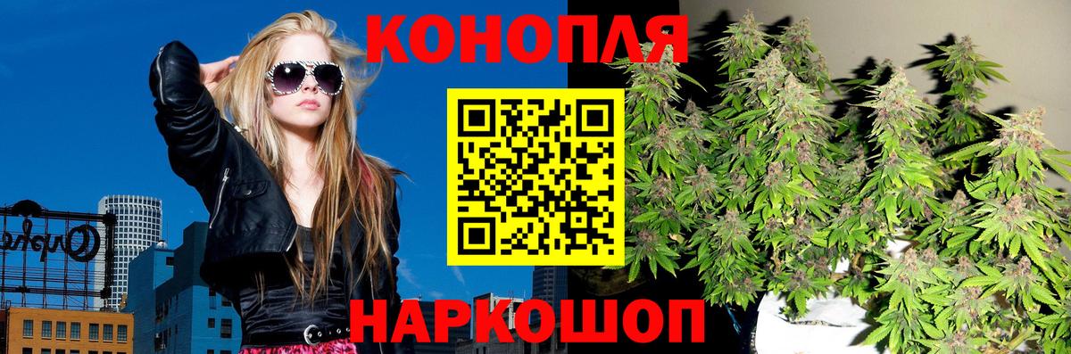 Марихуана Amnesia  Вход с VPN  МАРИХУАНА White Widow  Северобайкальск  Бошки марихуана конопля 